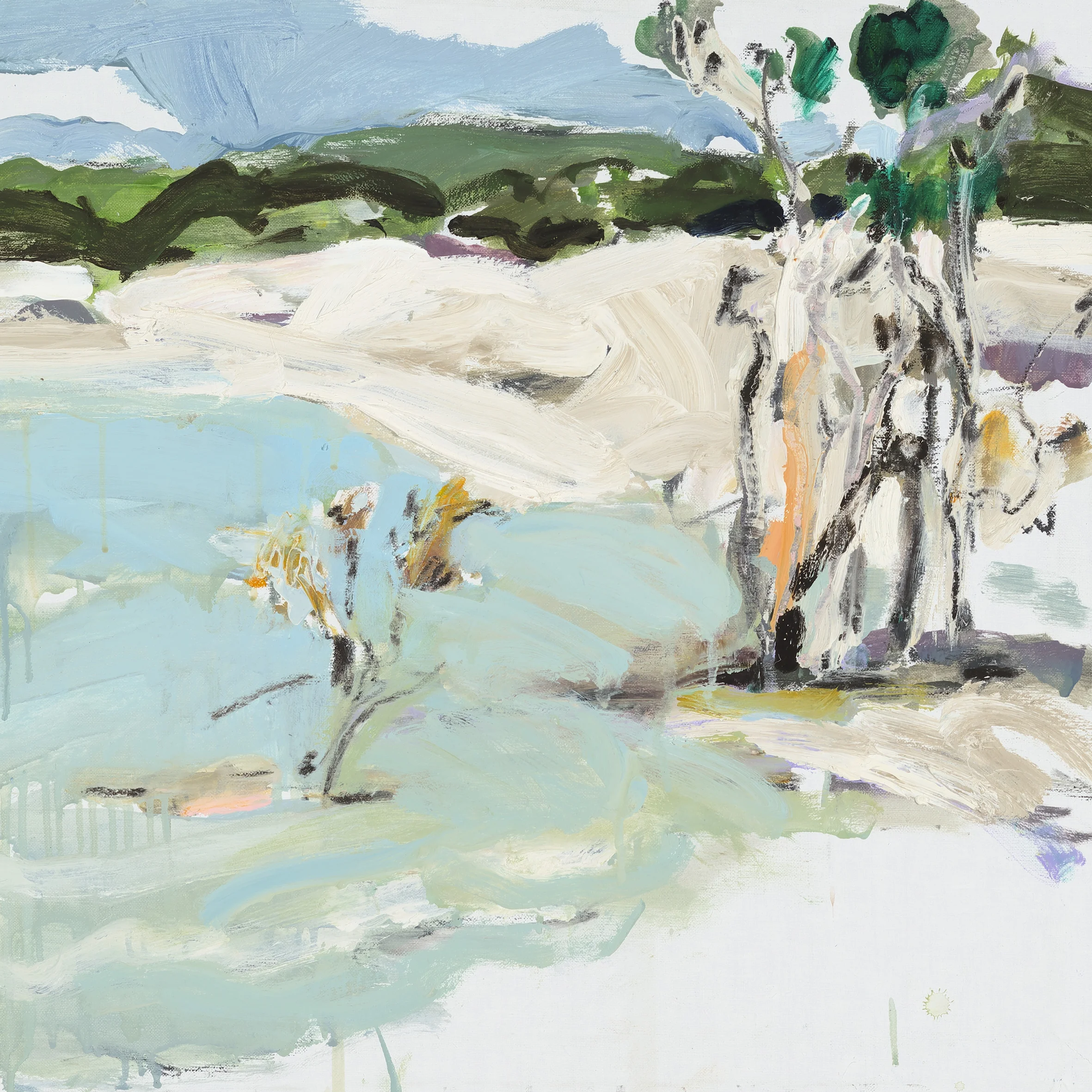 Lake Birrabeen #2