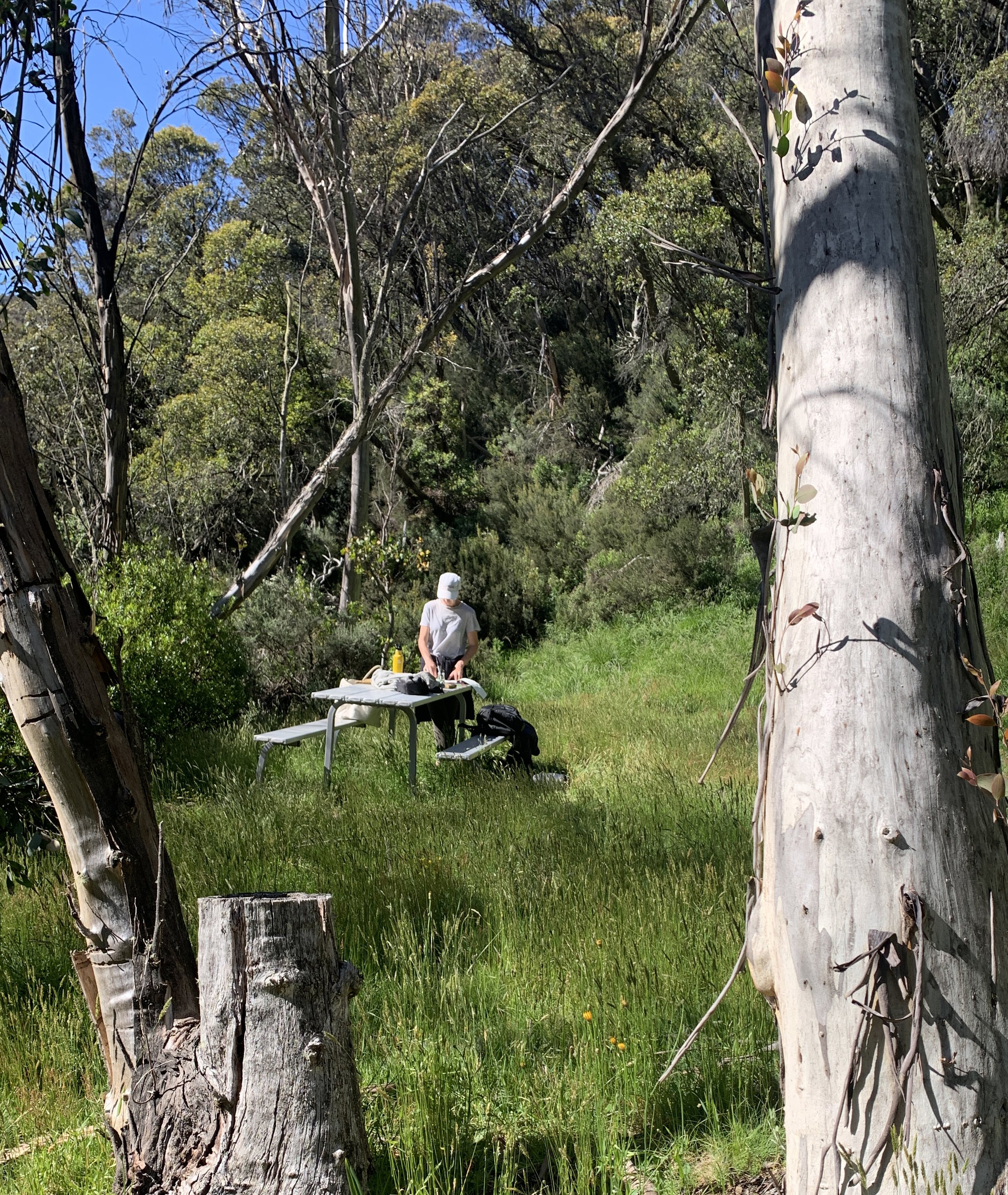 Thredbo river sketching.jpg