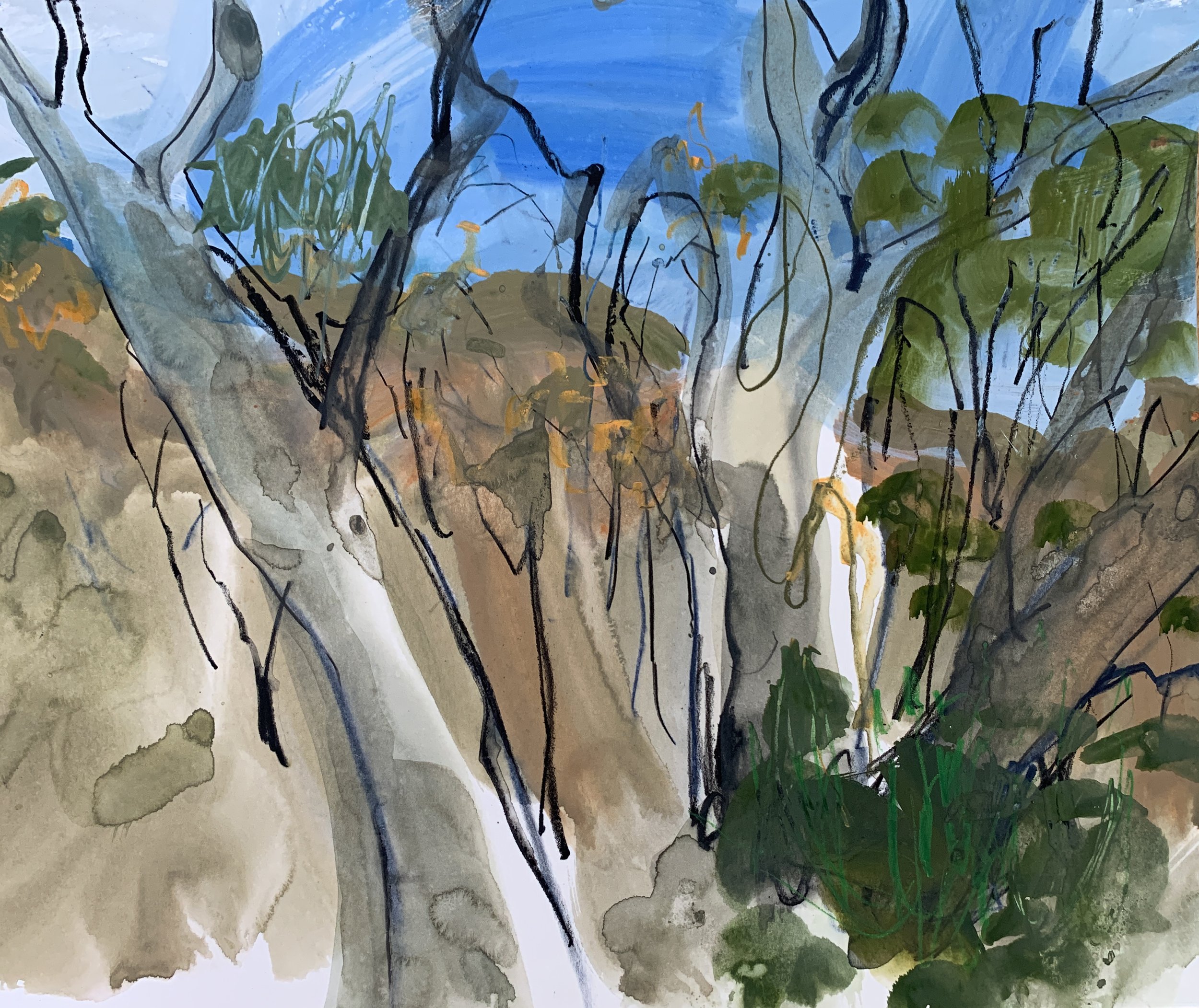 thredbo gouache 2.jpg