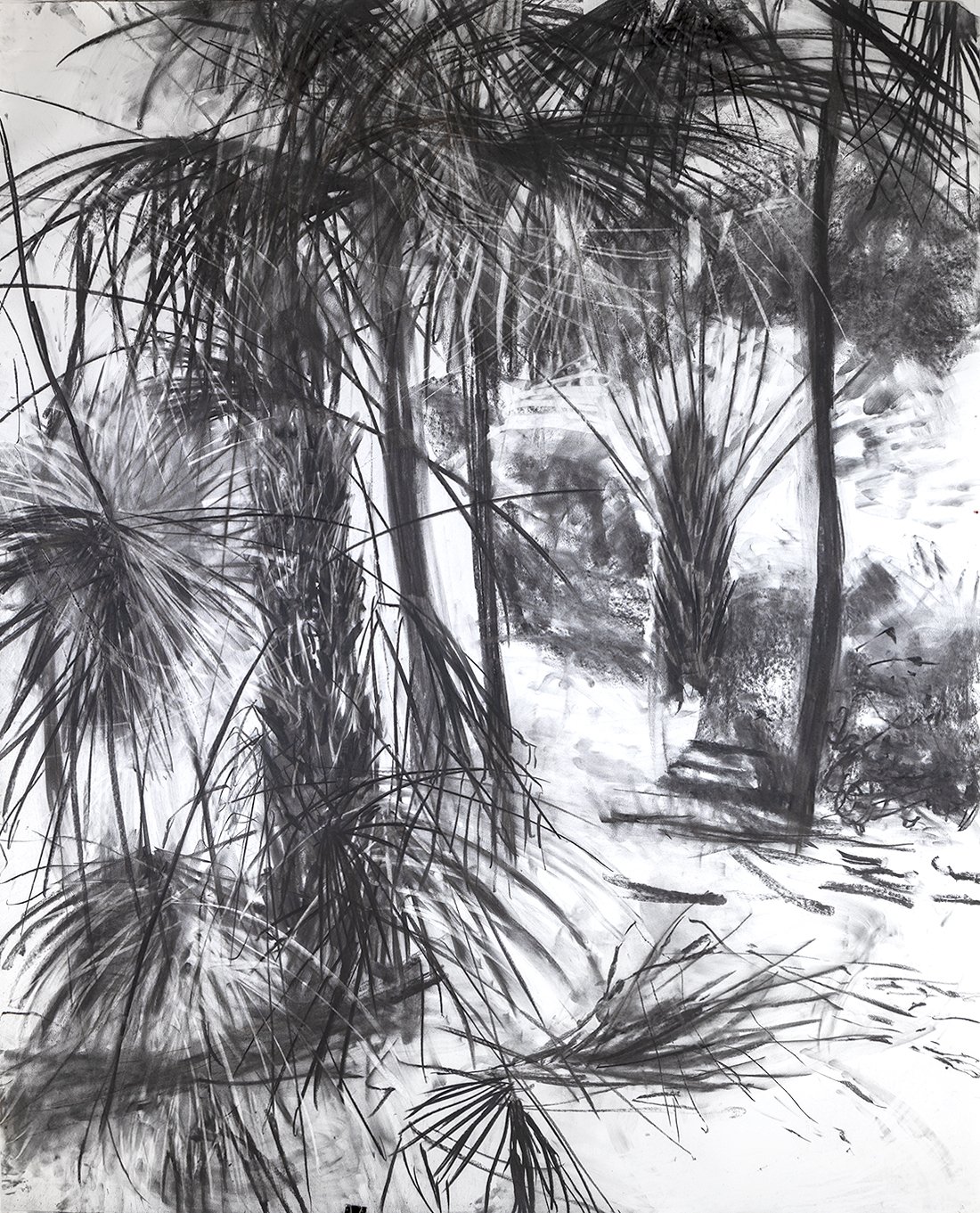 Pearl Beach Arboretum II, 2022 charcoal on Arches paper 185 x 155 cm