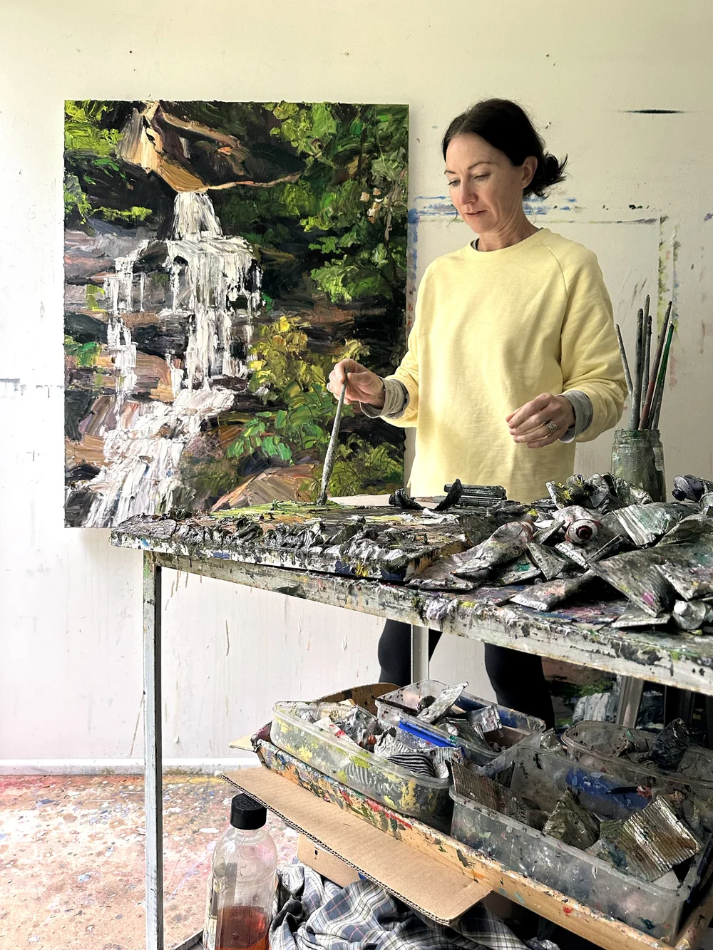 Tanya Harricks illustrator