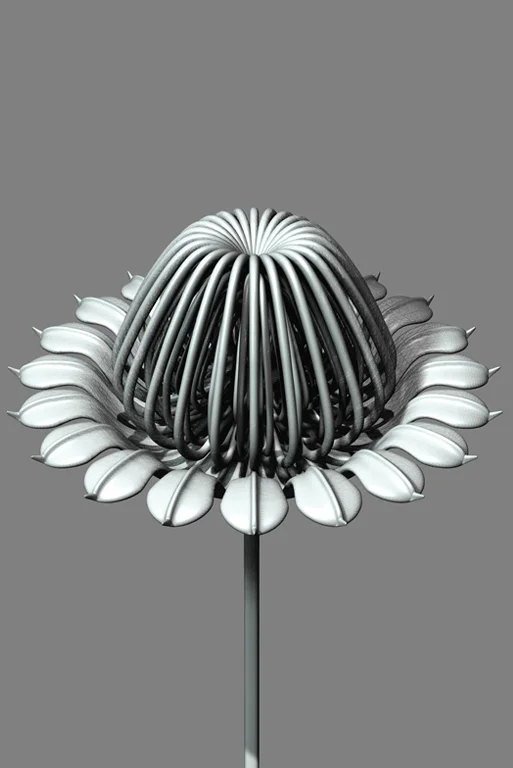 constructive botanics_transmission array 02 (2011)