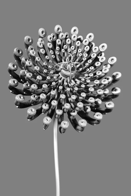 constructive botanics_transmission array 01 (2011)