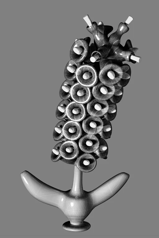 constructive botanics_dispersal systems03 (2011)