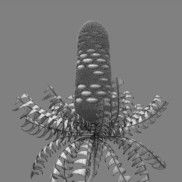 banksia/sketch_06
