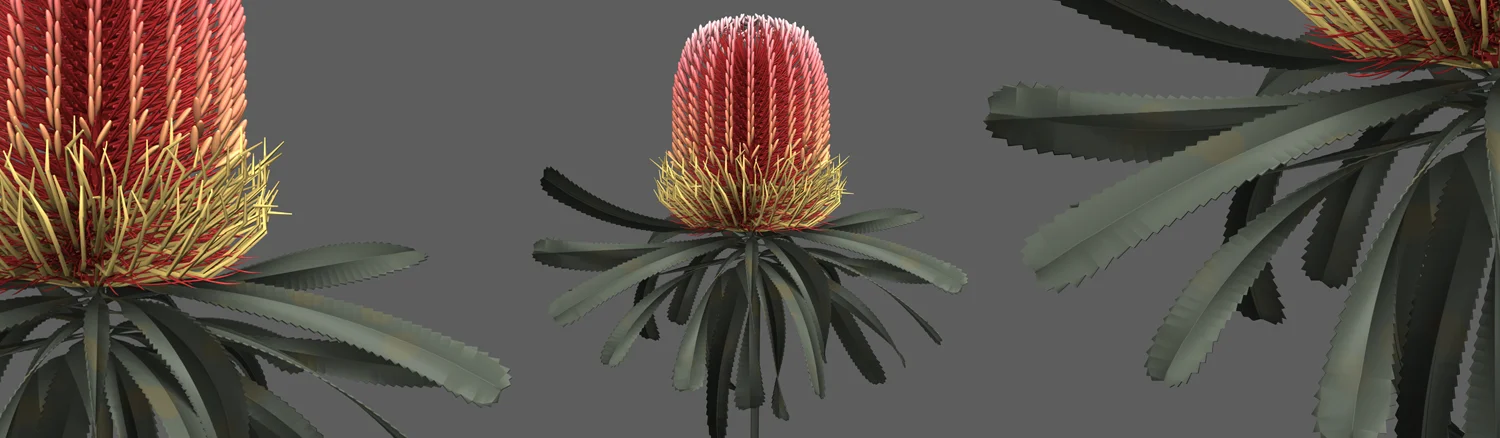 46_new_colour.jpg