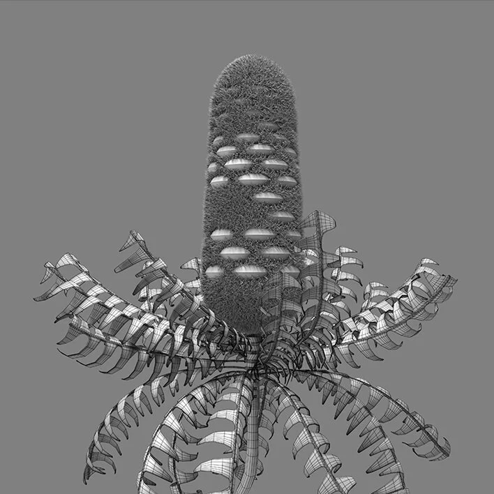 banksia_sketch_06.jpg