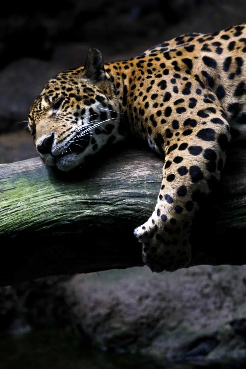 _HH_6732-Edit.jpg