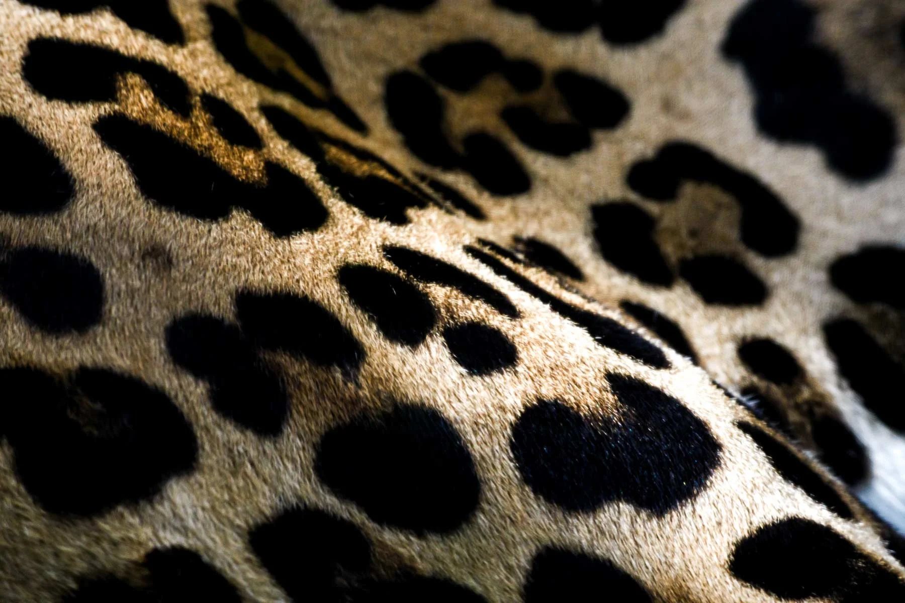 _HH_7152-Edit.jpg