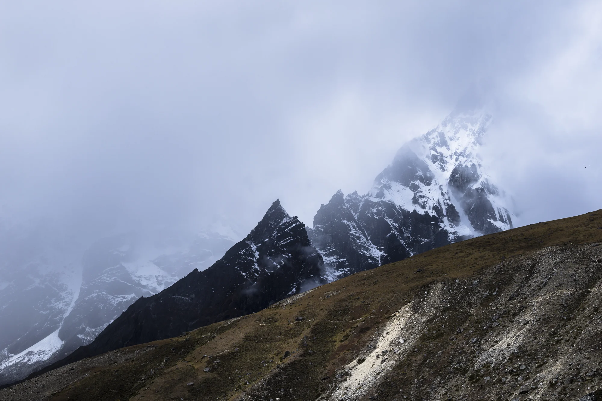 _HH_8481-Edit.jpg