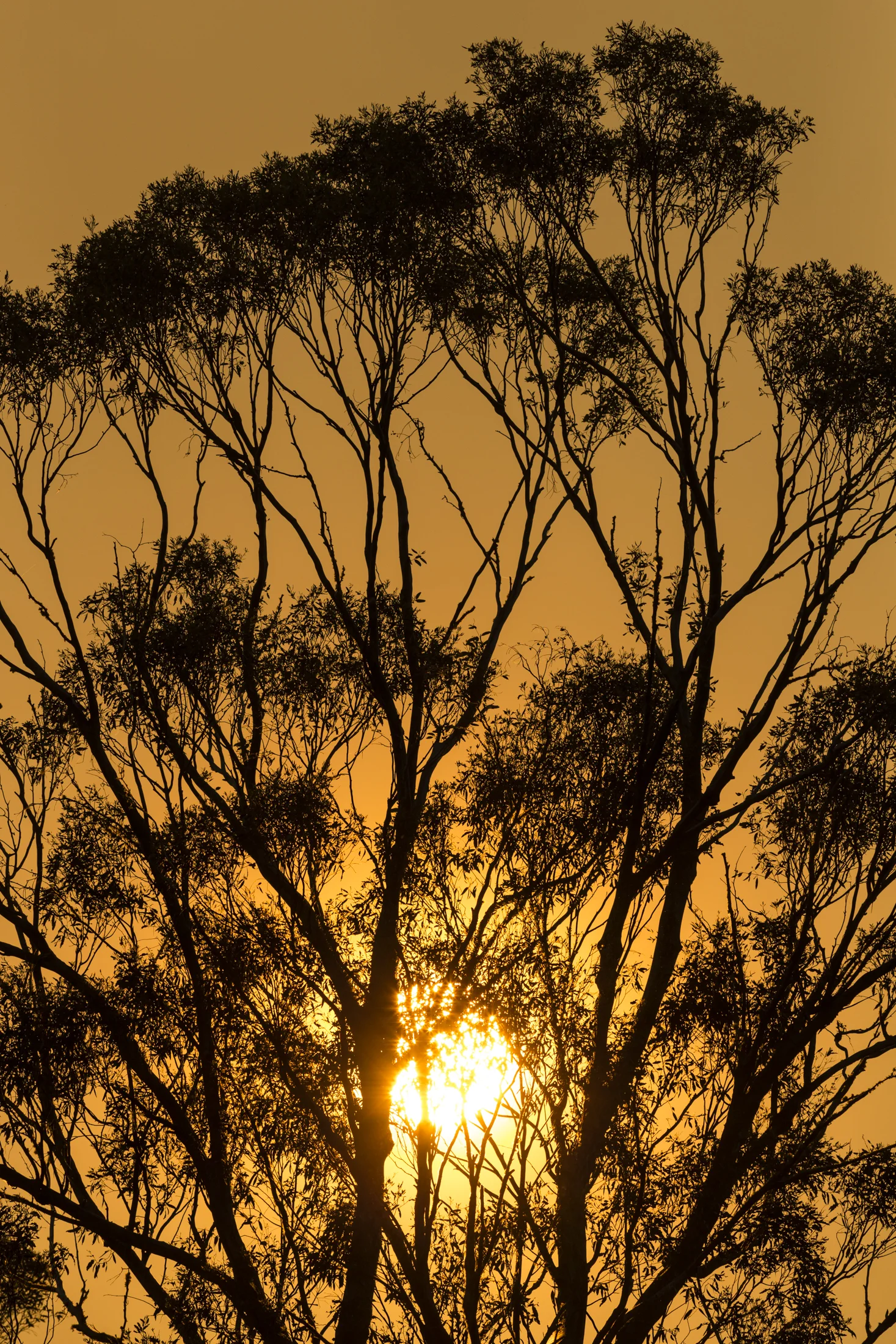 20190121-_HH_9106-0047-Edit.jpg