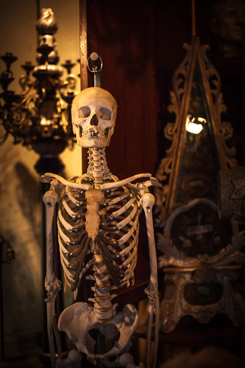 halloween-1.jpg