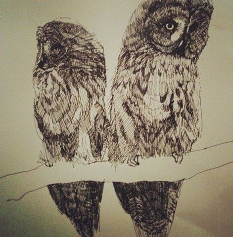 Two Owls