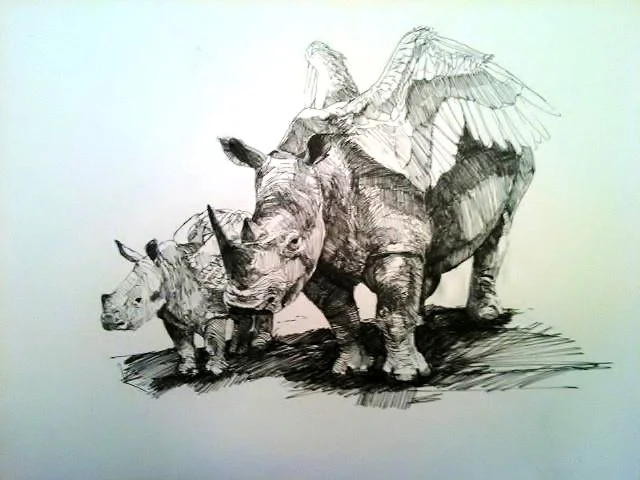 Winged Rhinos
