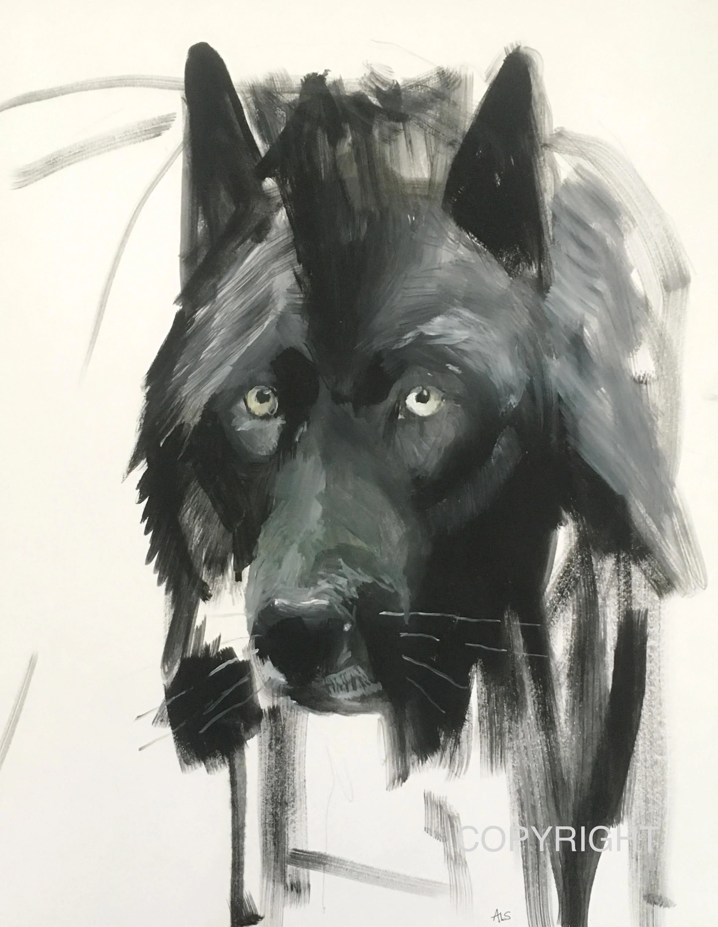 Lupine