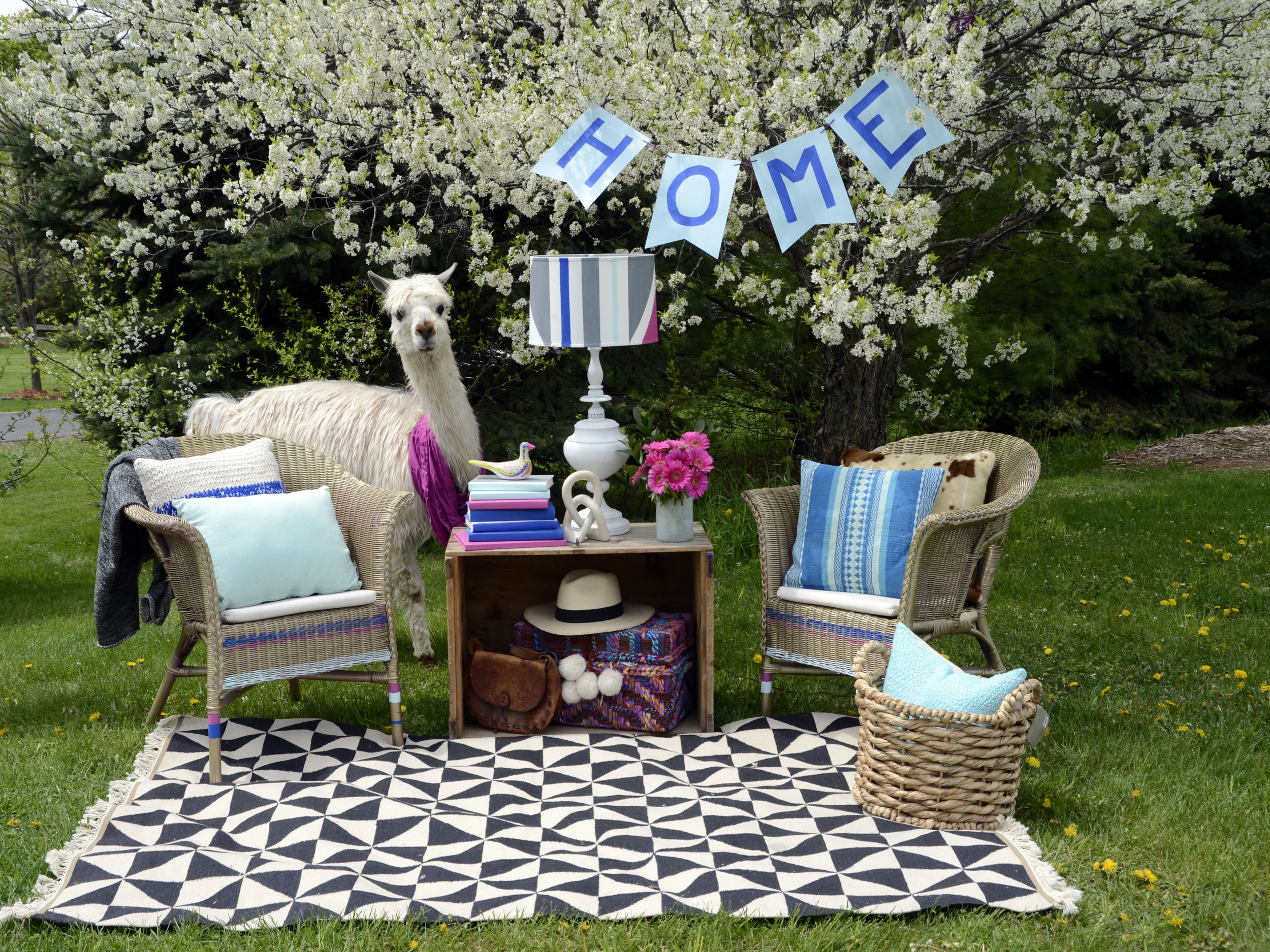 Concept, styling, art direction, alpaca handling. // A whimsical shoot about an alpaca who moves from one "apartment" to another. 