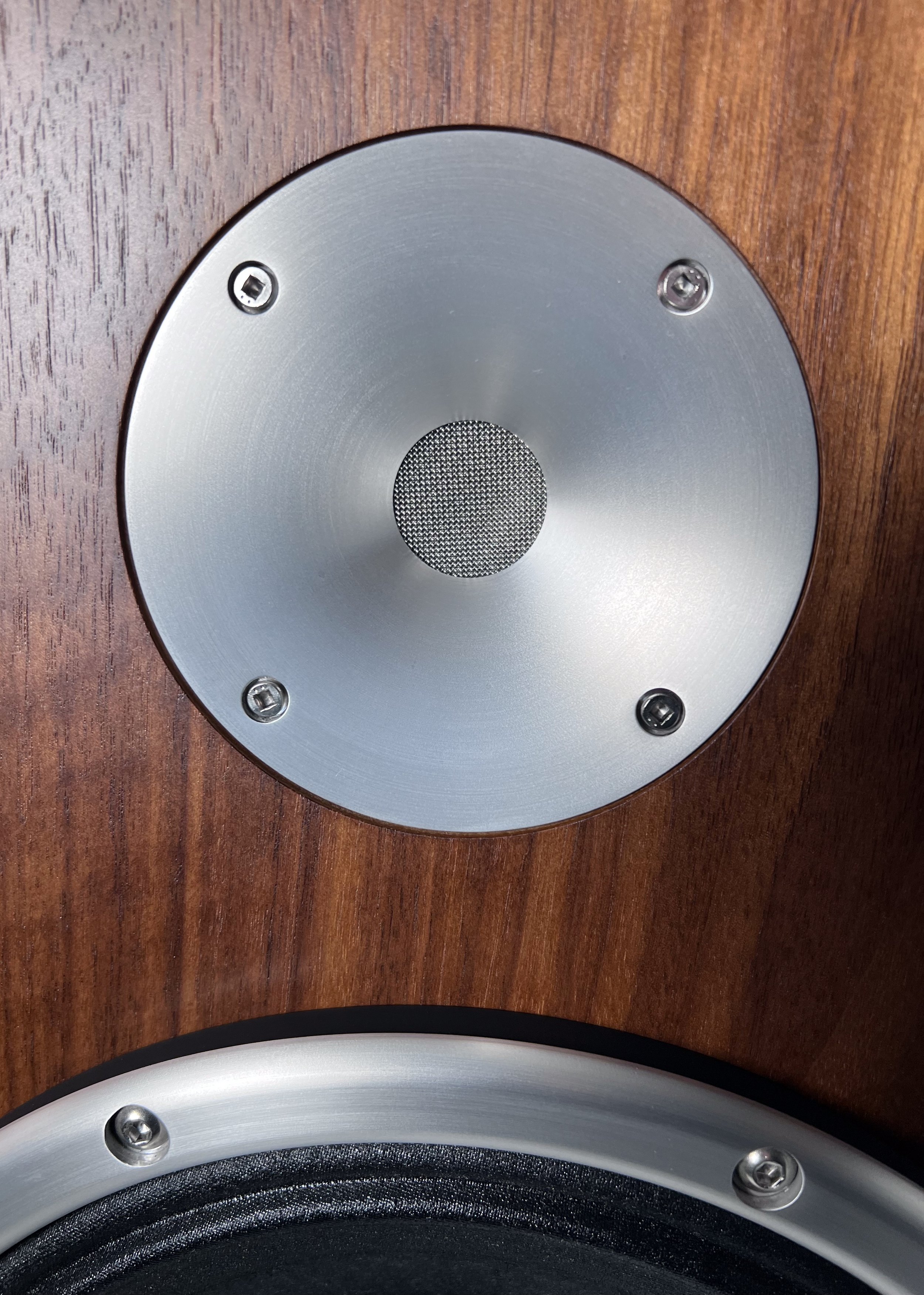 Closeup photo of DWX showing concentricity of tweeter.