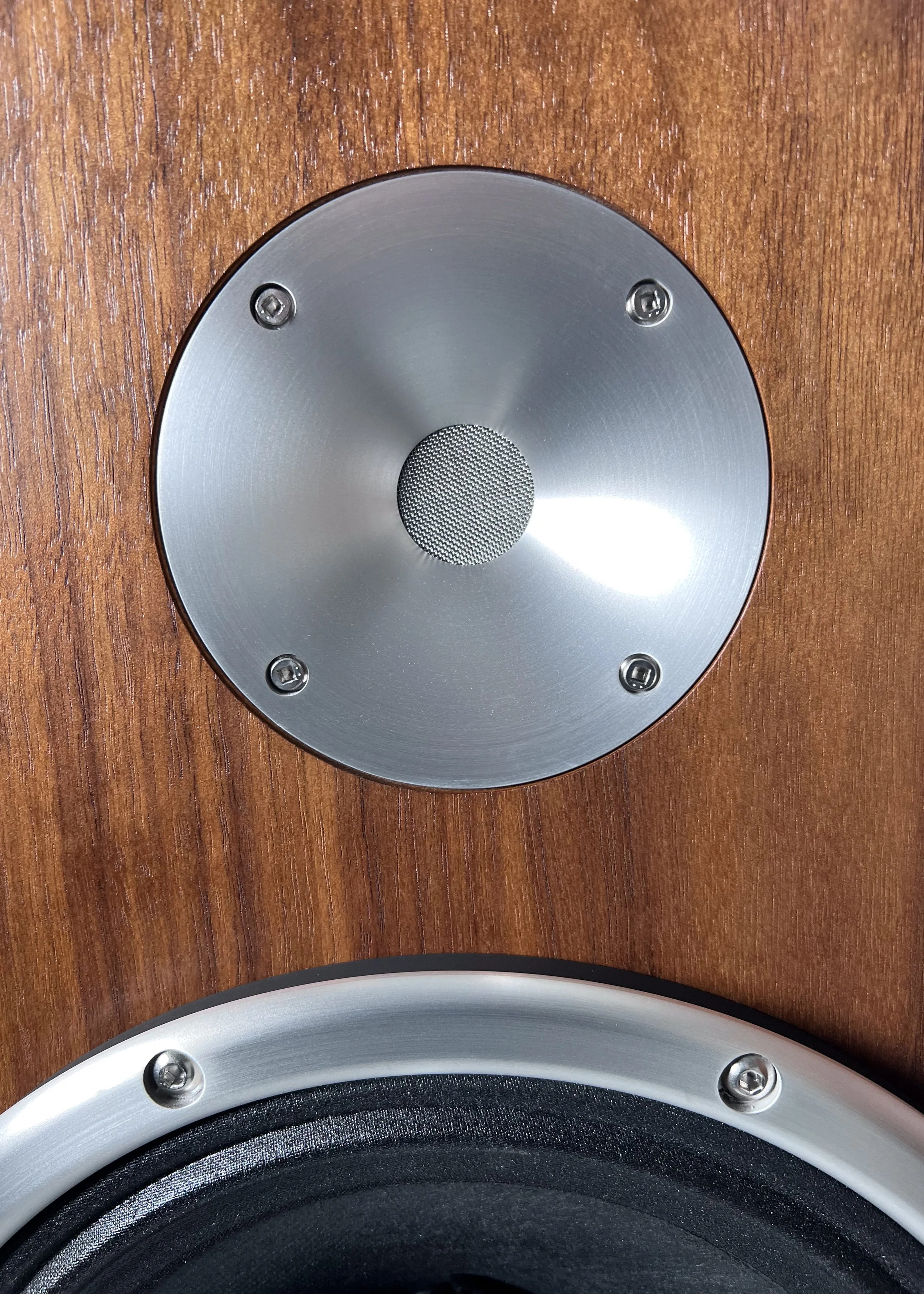 Closeup photo of DWX showing concentricity of tweeter.