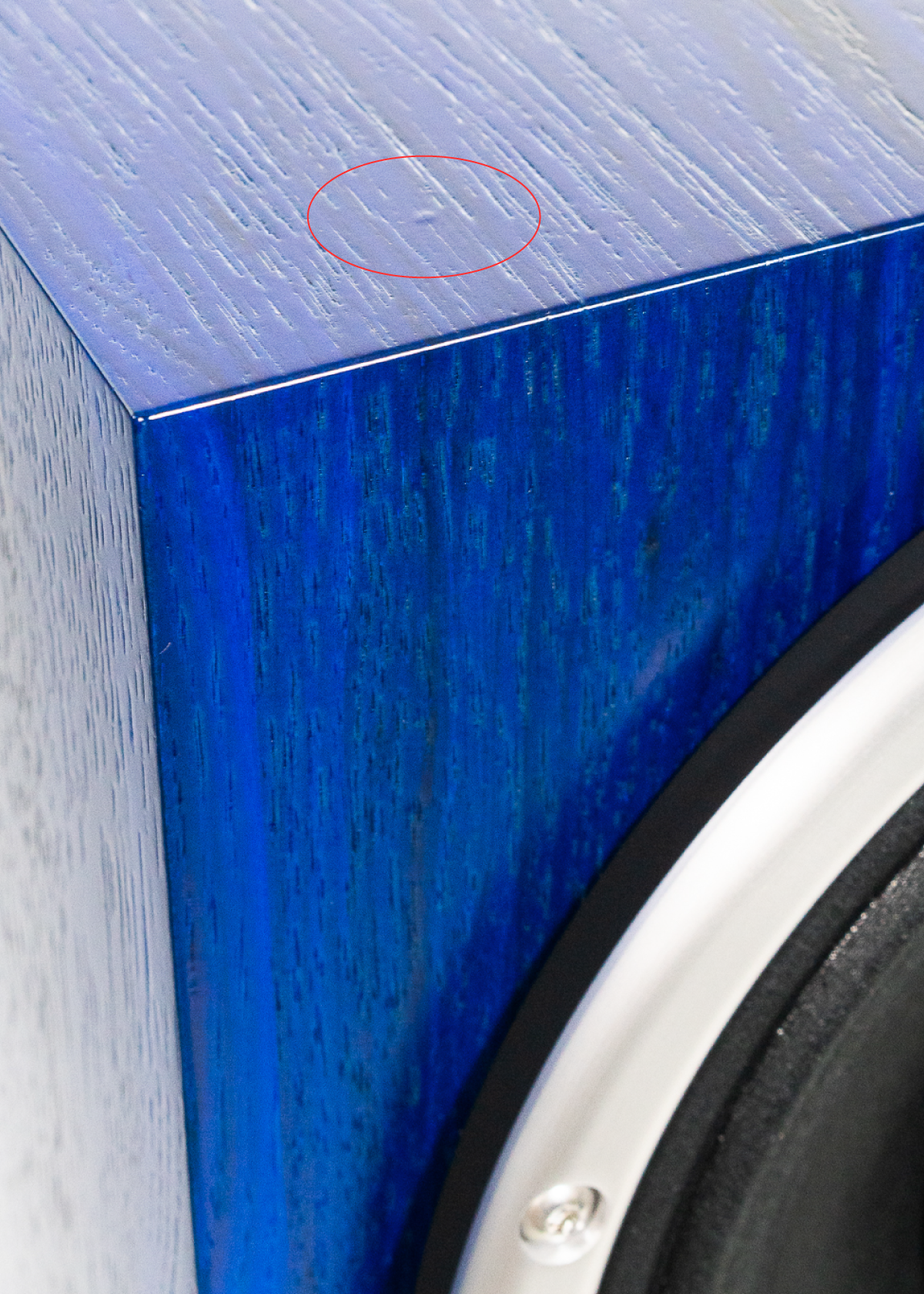Closeup of Zu speaker with redline callout of blemish.