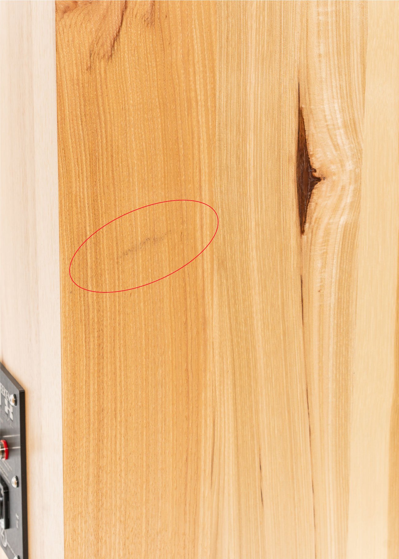 Closeup of Zu speaker with redline callout of blemish.