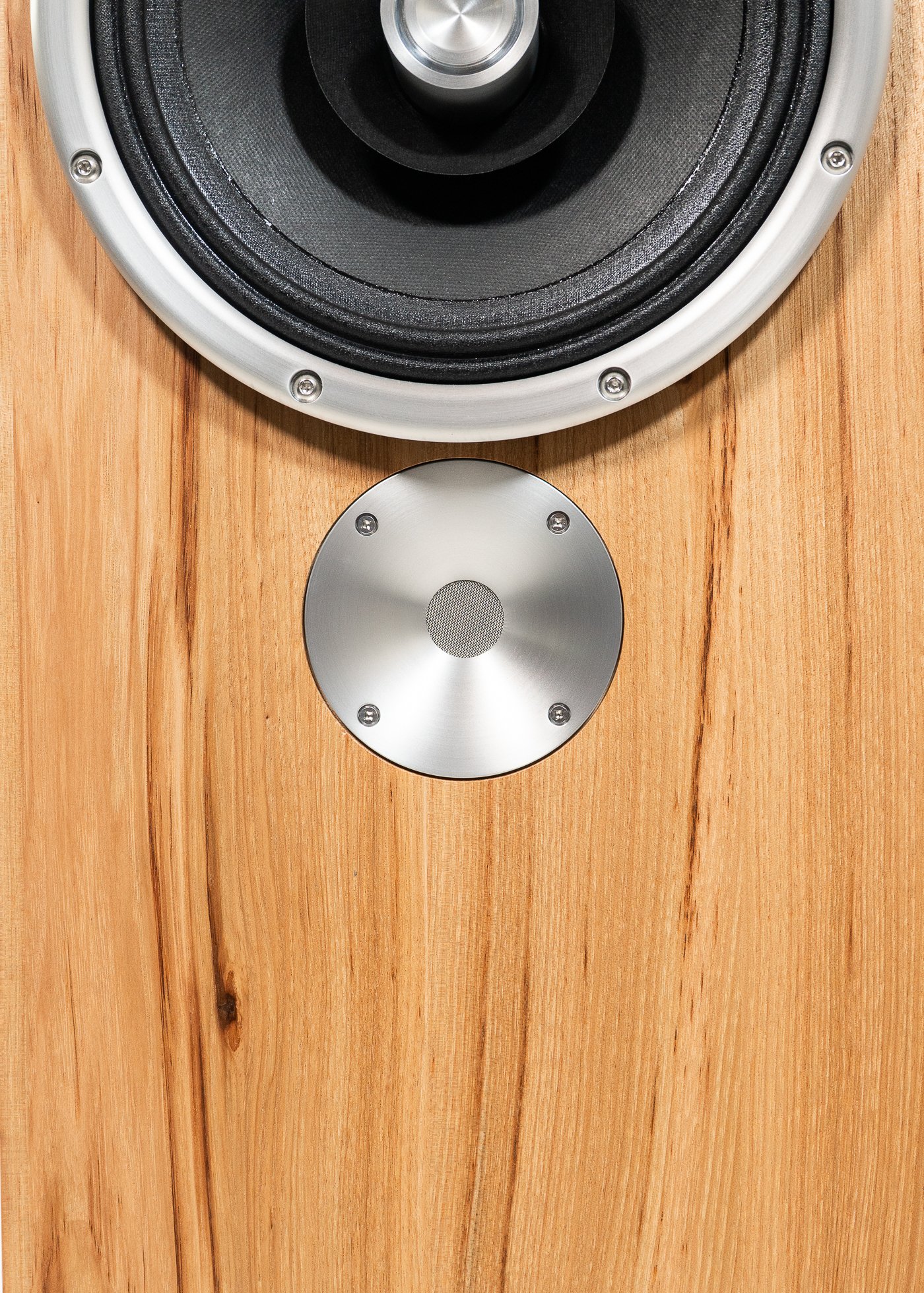 Closeup photo of Zu DW-6 Superfly loudspeaker.
