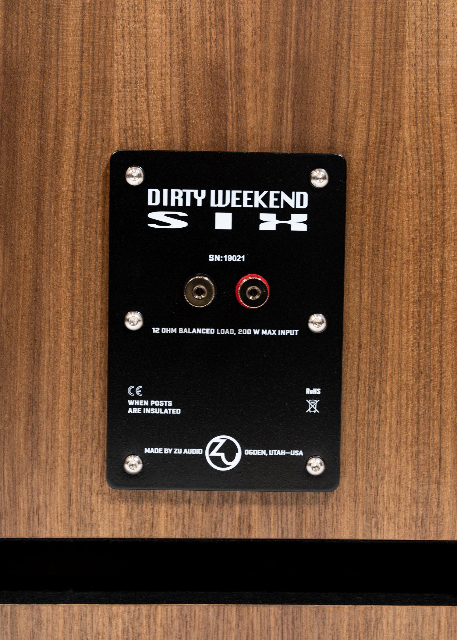 Photo of nameplate and connections of Zu DW-6 speaker.