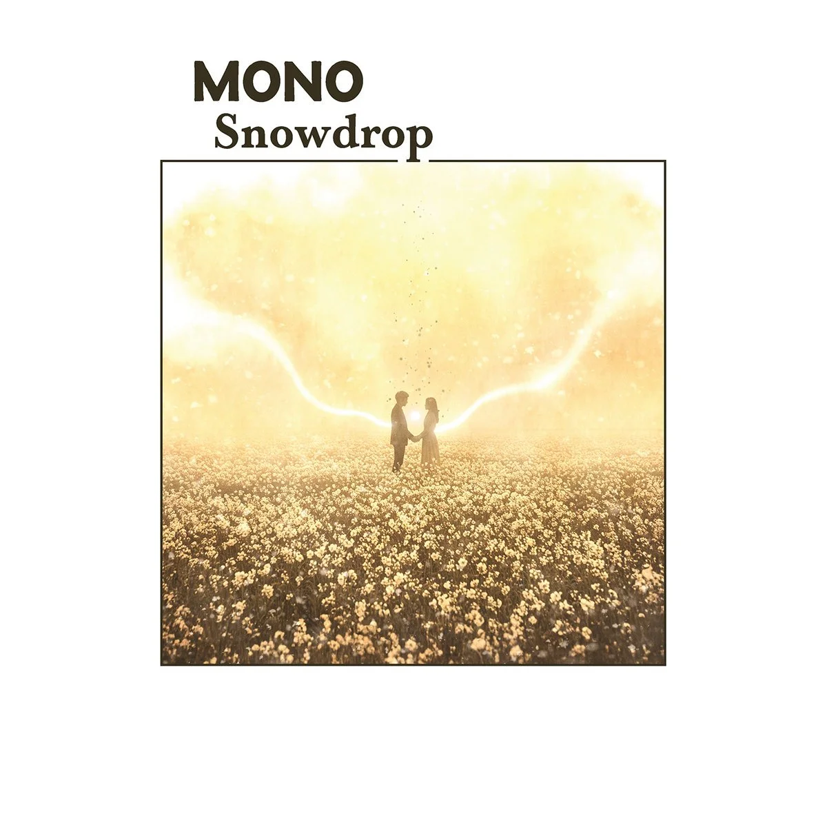 Mono Snowdrop.jpg