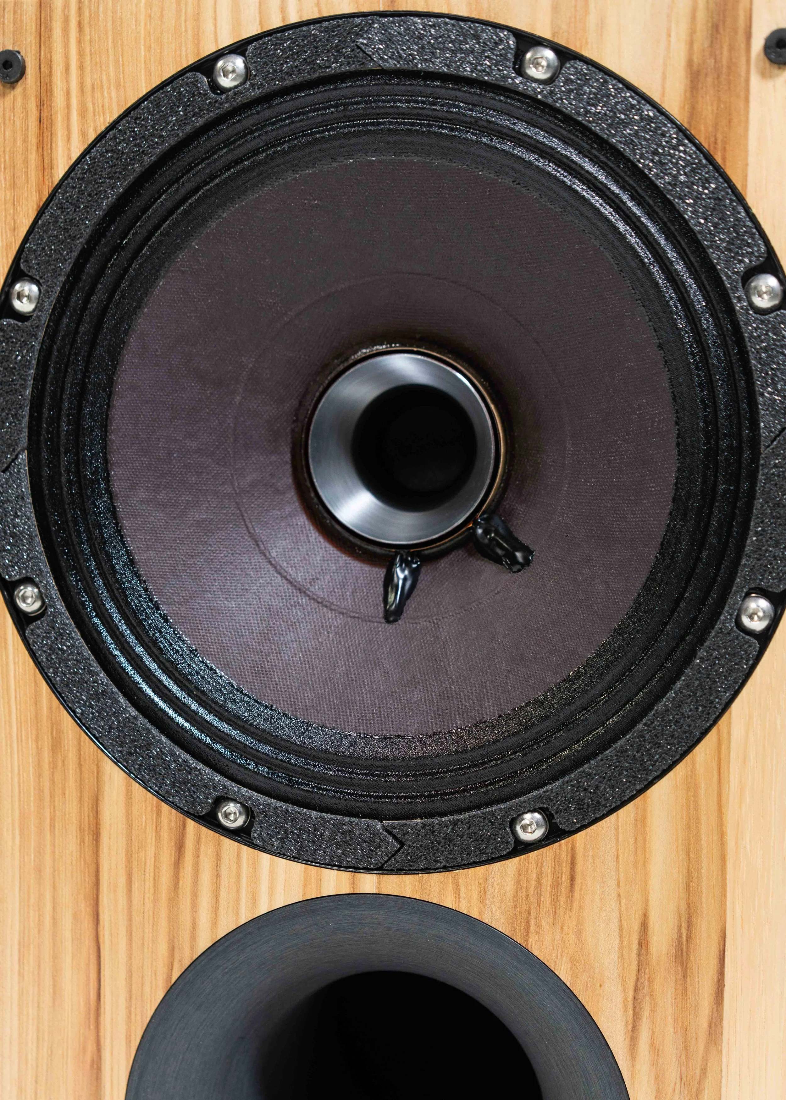 Closeup photo of Zu Method Bookshelf loudspeaker driver.