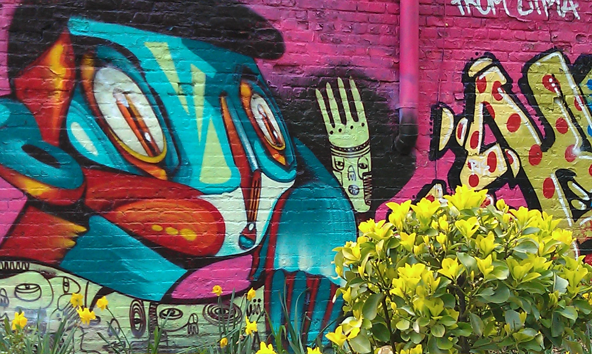IMAG0057.jpg
