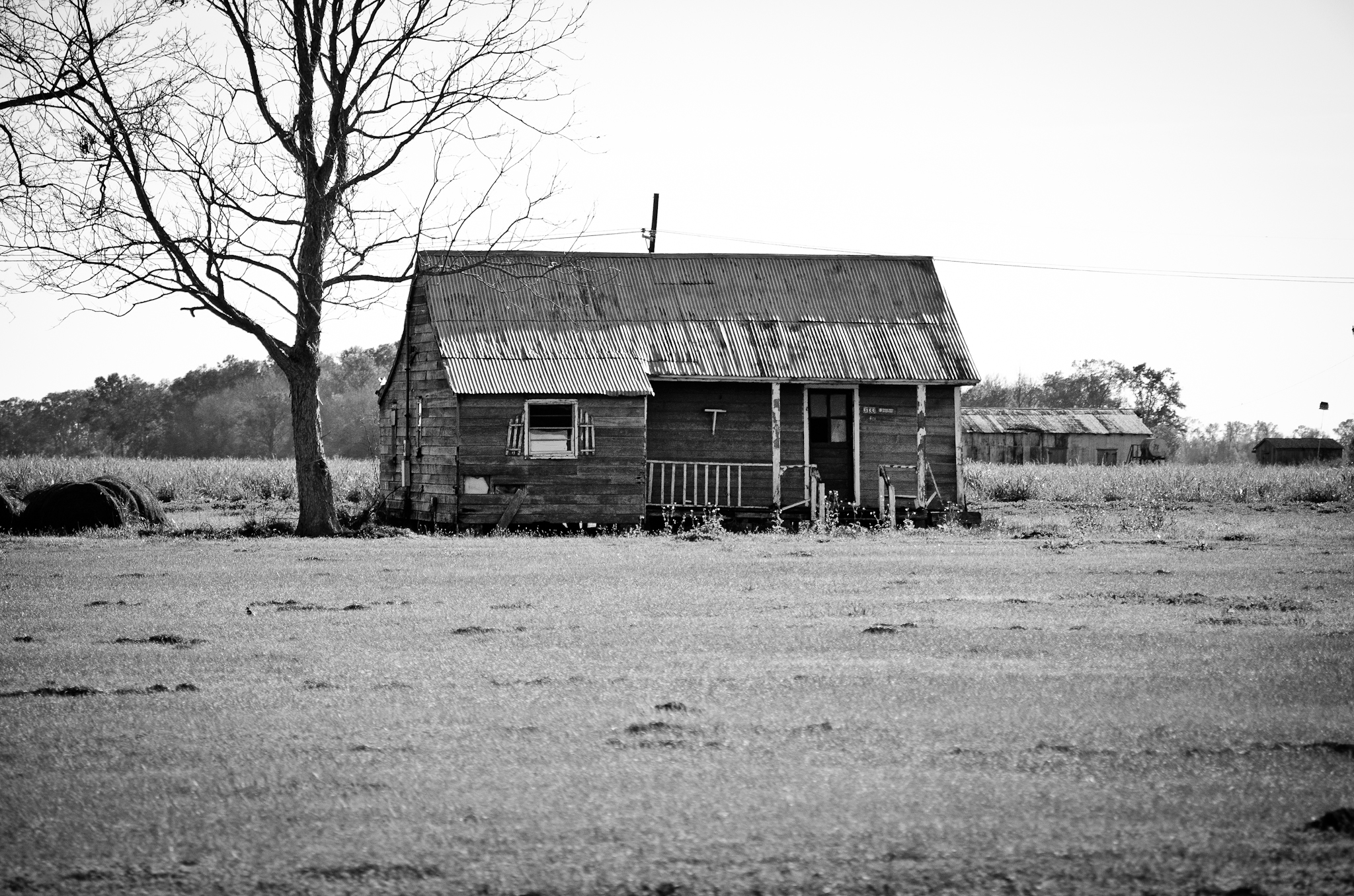LonelyHome_Web-1.jpg