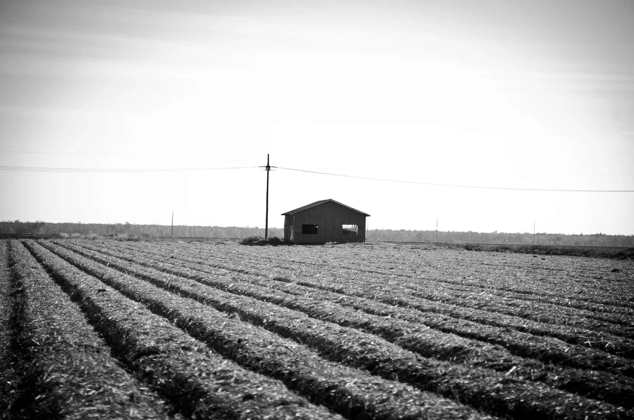 FarmHouse_Web-1.jpg
