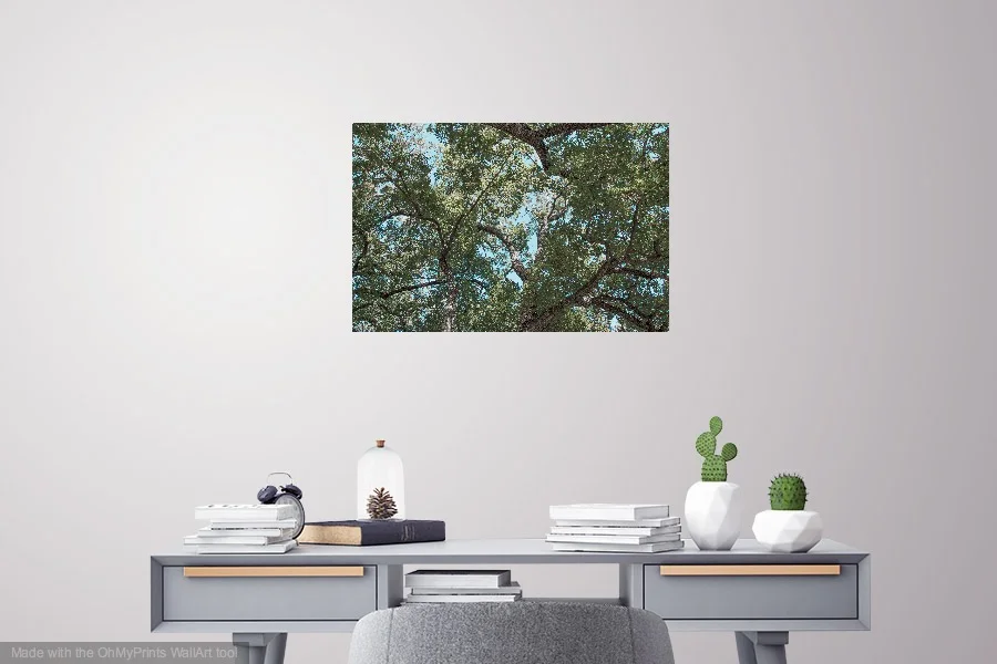 SpauldingSquareTree-3.jpg