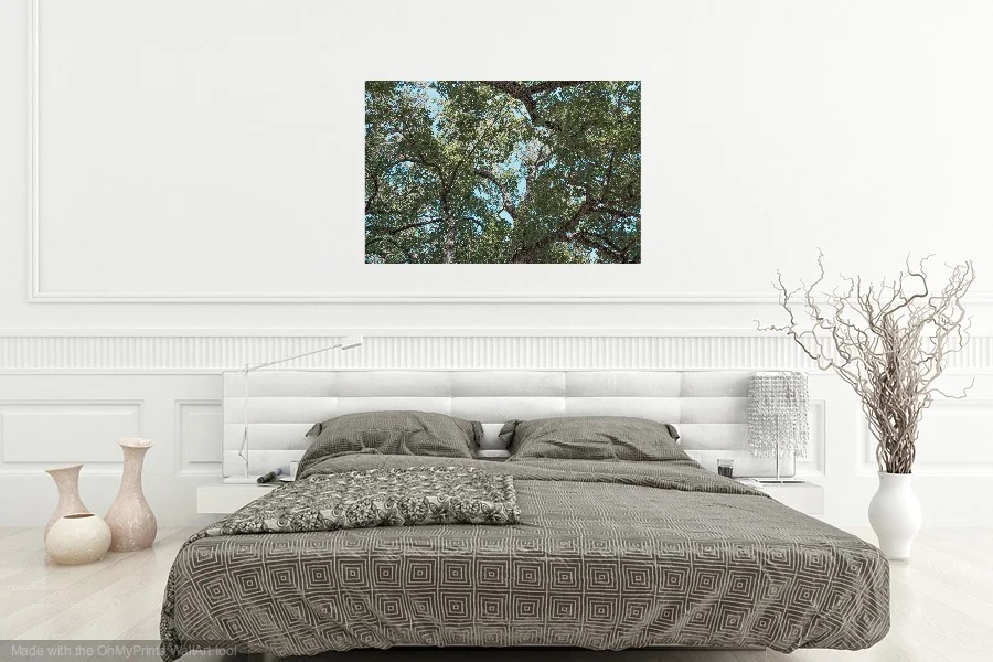 SpauldingSquareTree.jpg