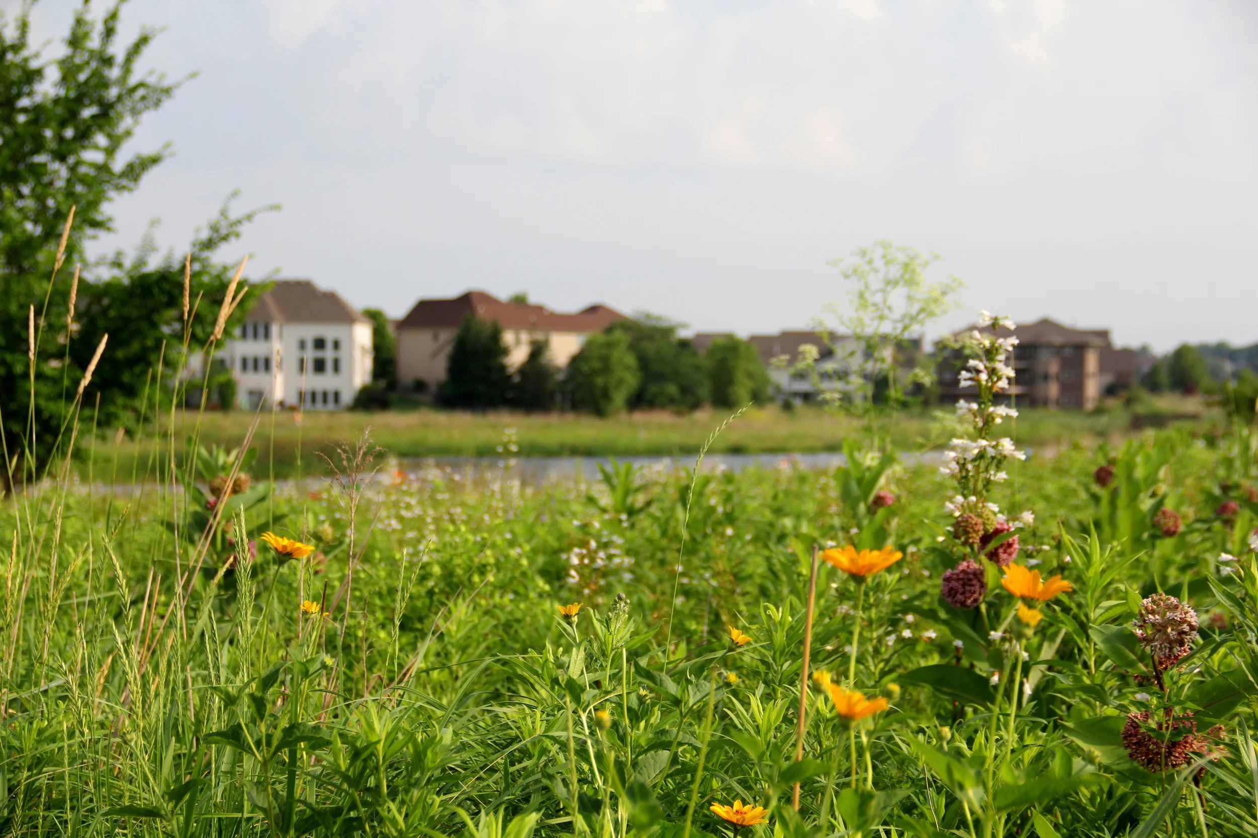 IMG_5896.tipton homes.JPG
