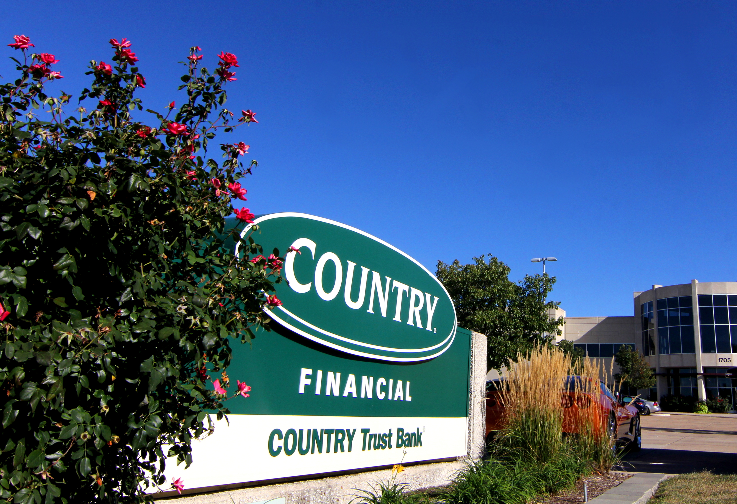IMG_9245.country.JPG