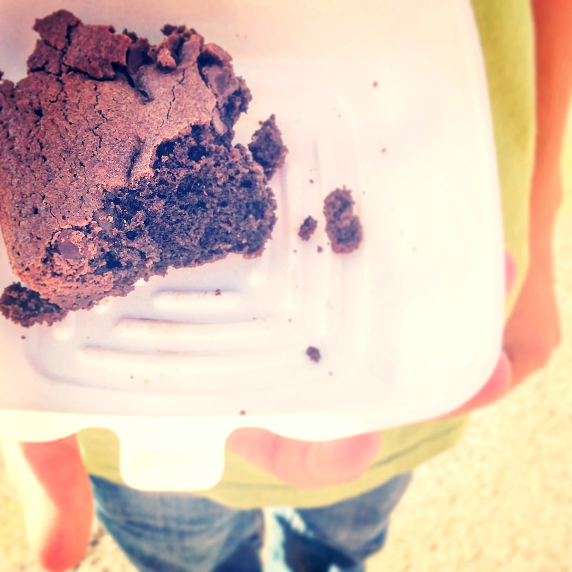 photo 1..brownie.JPG