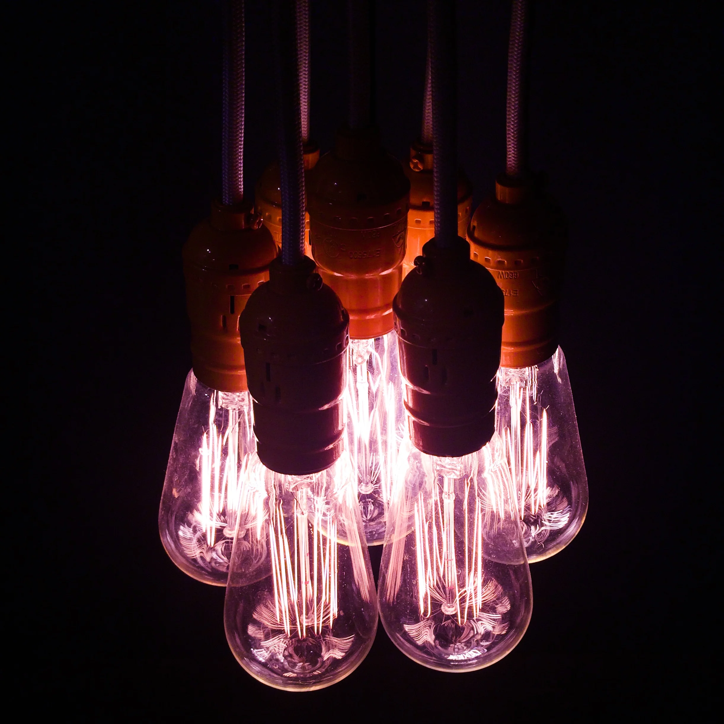 suessical lights.JPG
