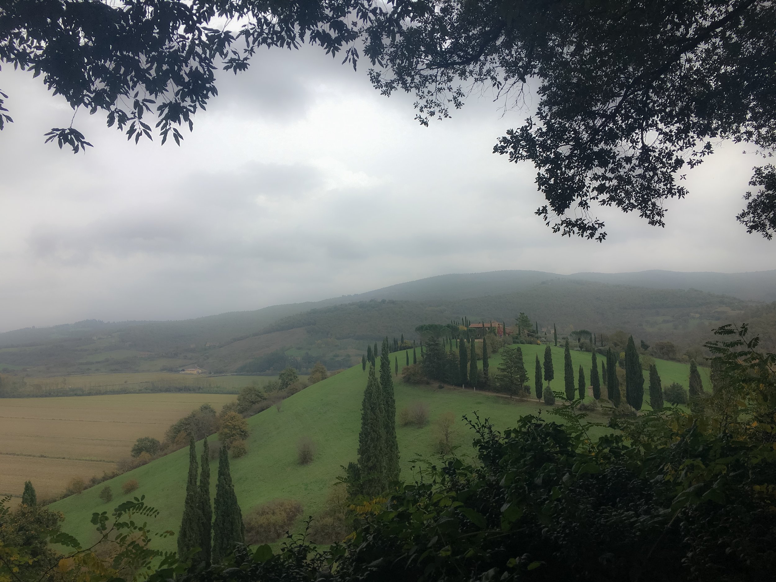 IMG_5471.jpeg