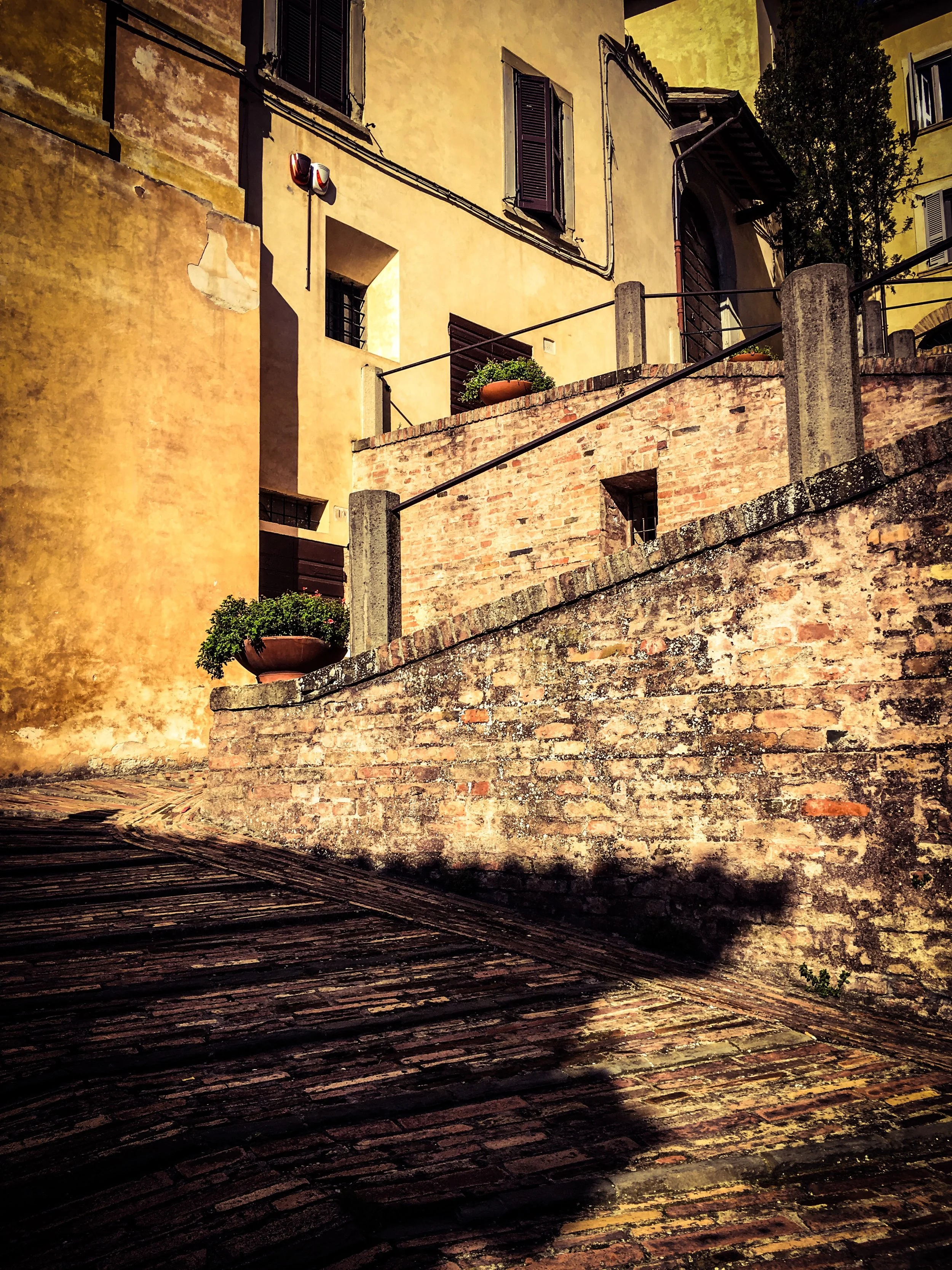 IMG_5919.jpeg
