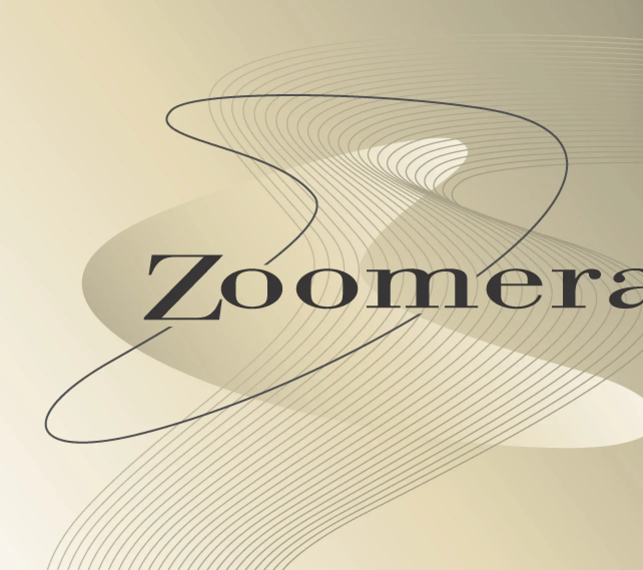 ICON-Zoomerang.jpg