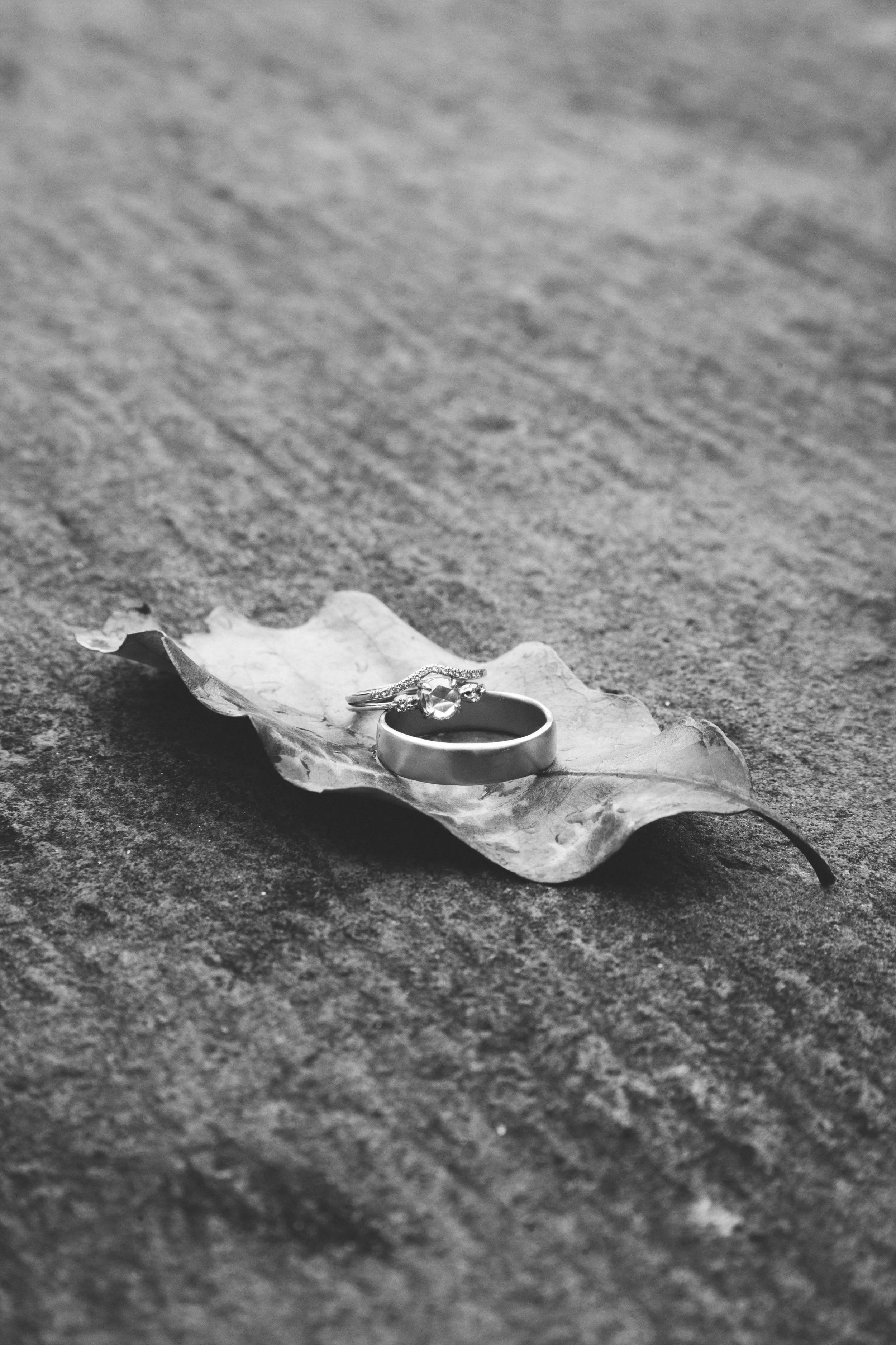 _MG_0182.jpg