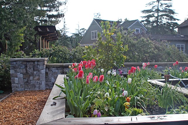 DECORATIVE STONE WALLS