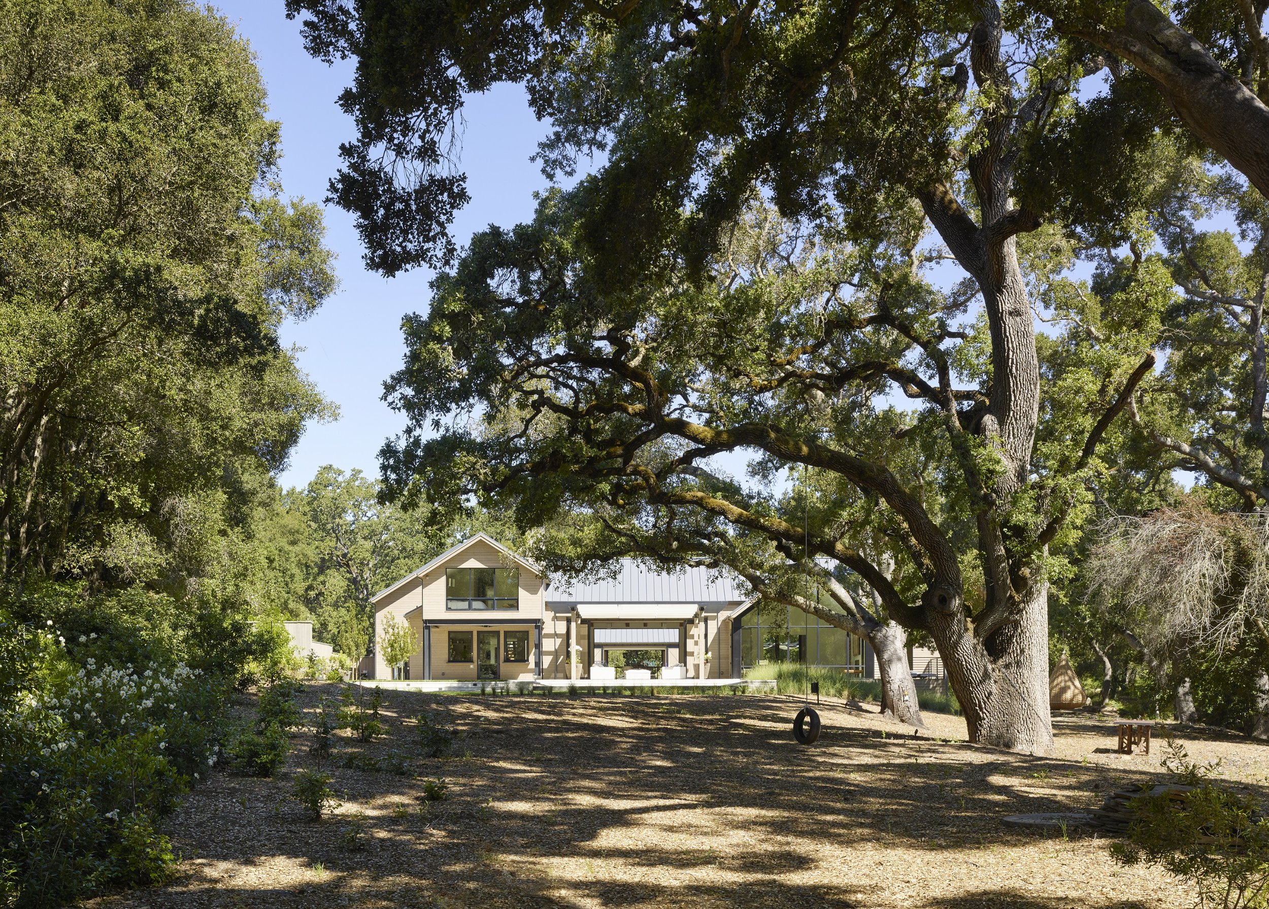 Barnett-Manzanita-0282.jpg