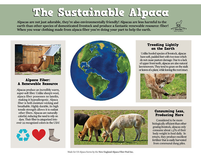 Why is alpaca wool sustainable? 10 reasons – Be ALPACA