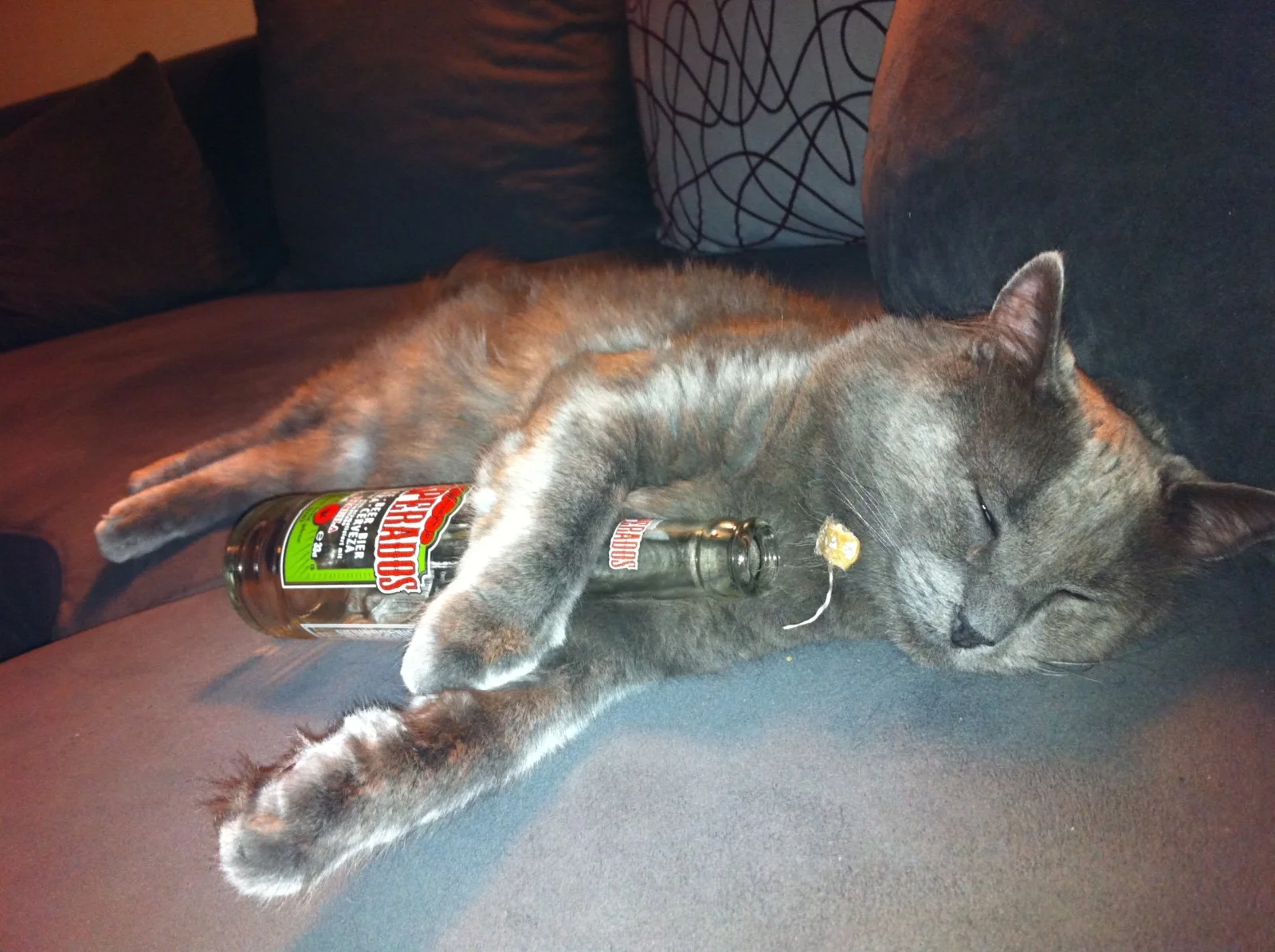 While sipping a last one…