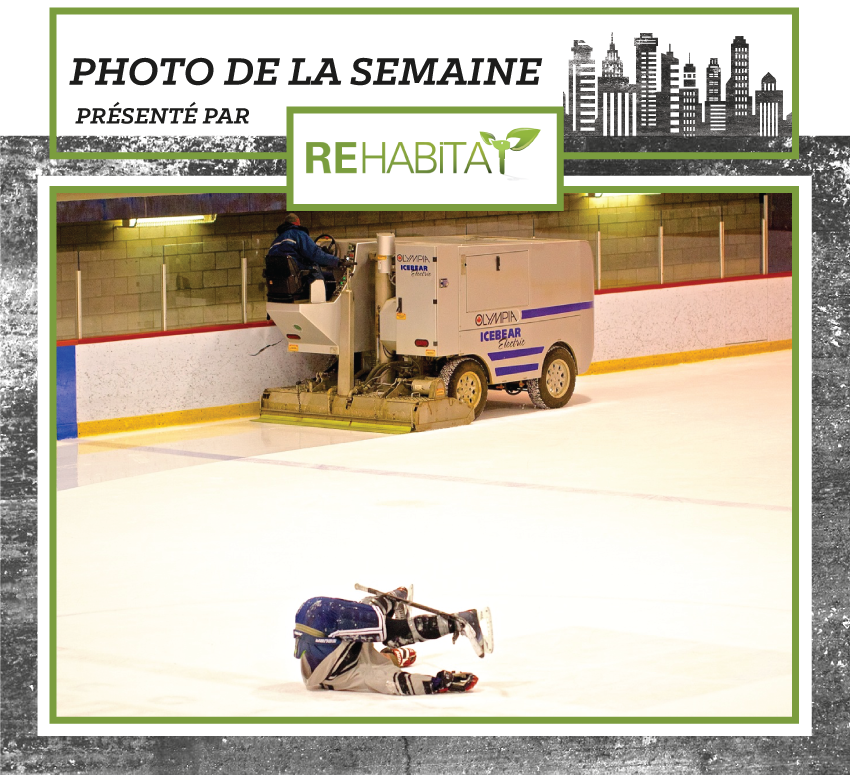 photo_semaine_FR_zamboni.png