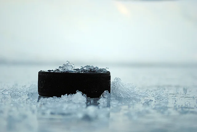 LA PUCK STOPS ICITTE !