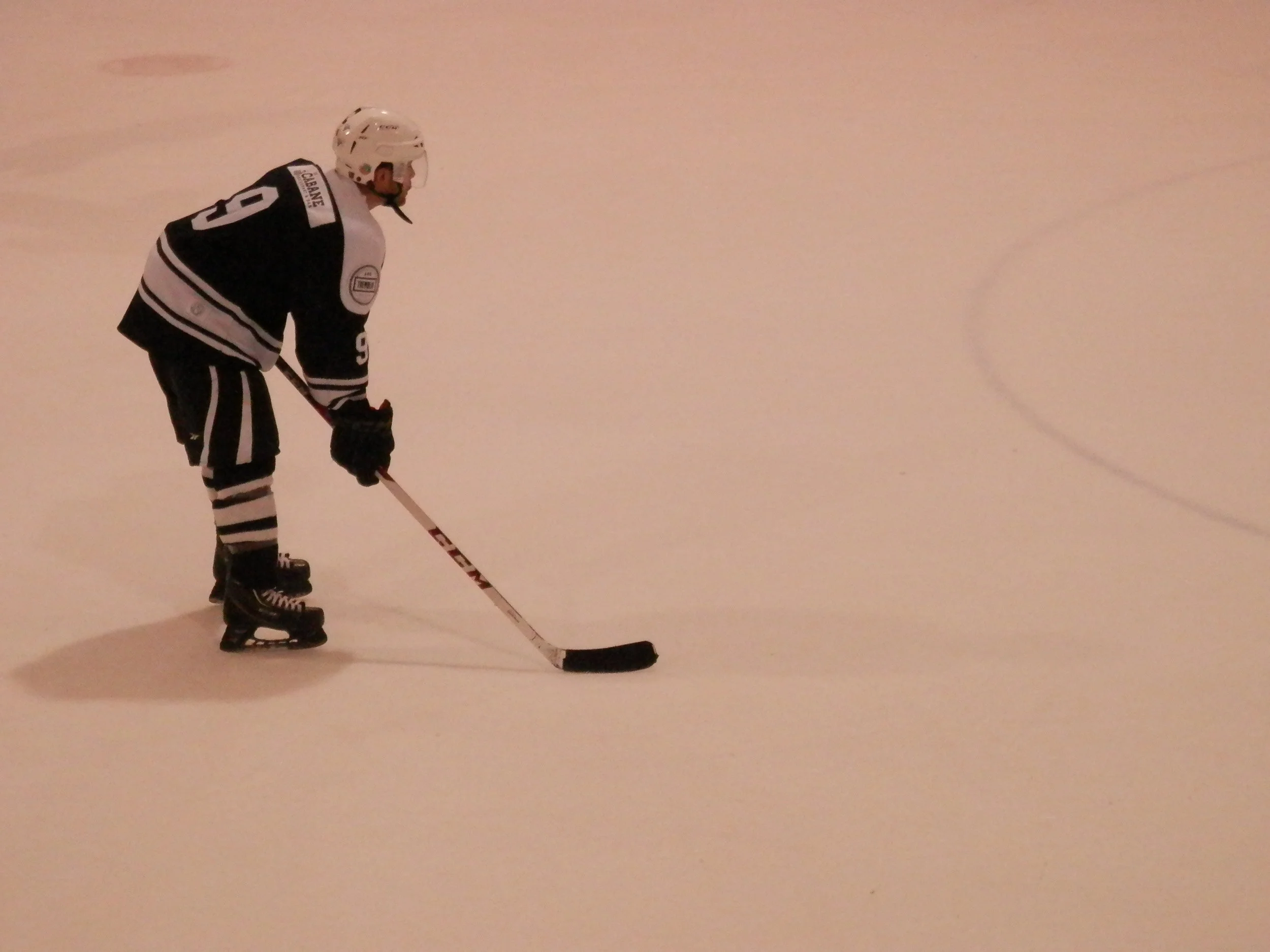 THE BEST PHOTOS OF THE 2015-2016 SEASON