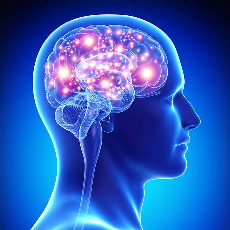 LA DURETÉ OF THE MENTAL