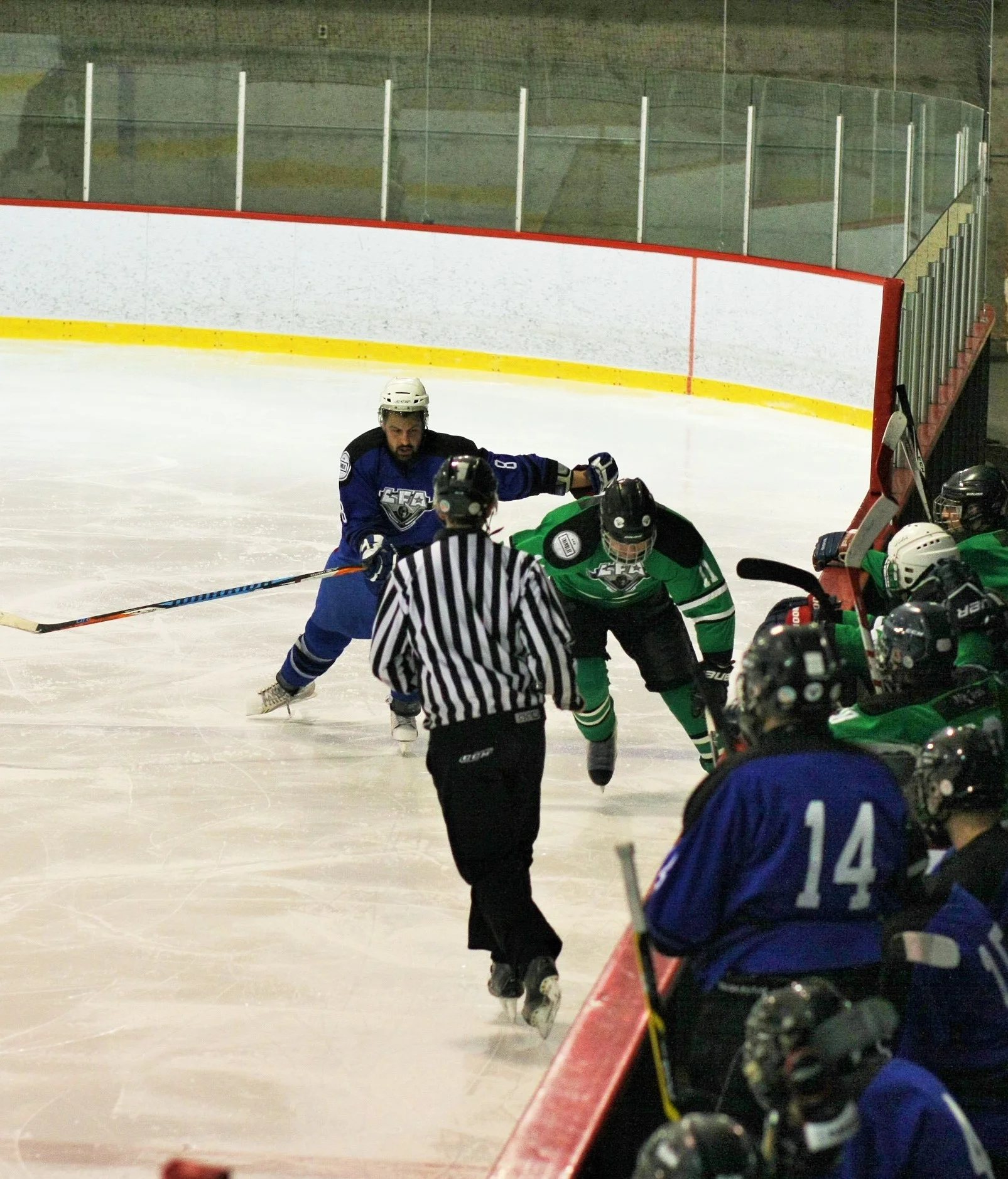 IMG_2768.JPG